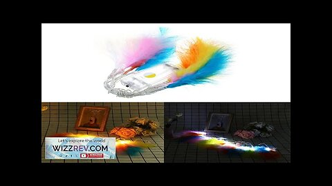 Battery Powered 1.3M 10LED Colorful Feather String Holiday Light For Xmas Party Review