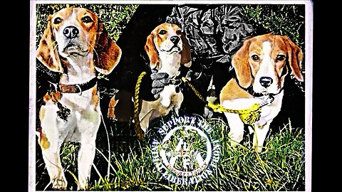 Barry Horne ✊ And 3 Beagles He Liberated