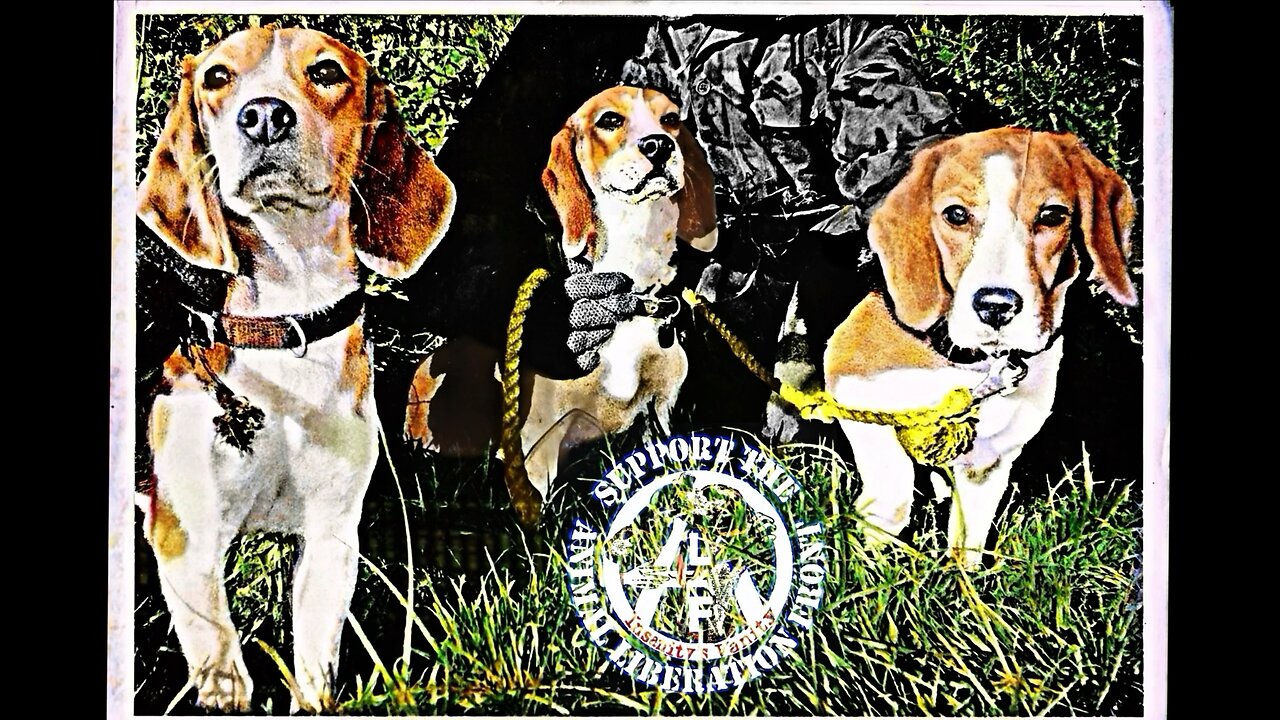 Barry Horne ✊ And 3 Beagles He Liberated