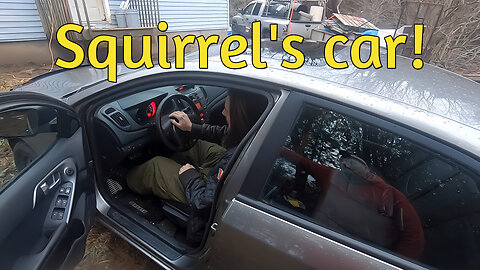 Squirrel's car!