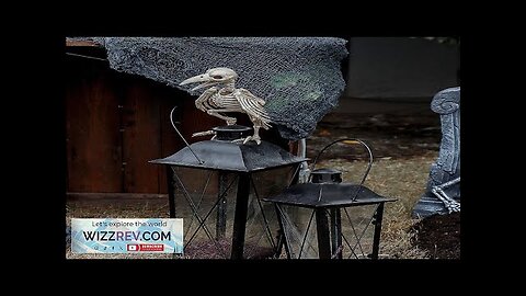 Raven Skeleton Bird Creepy Decoration Review