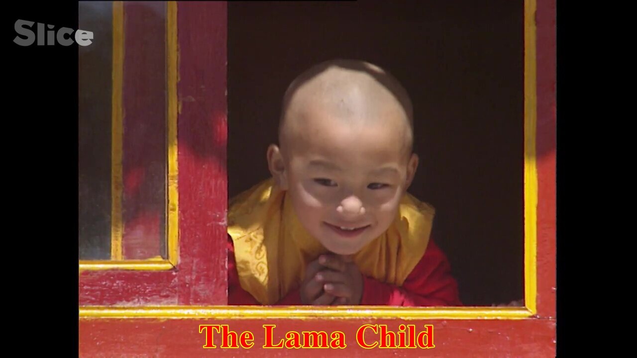 The Lama Child