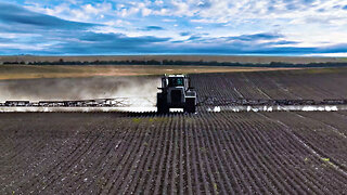BIG BRUTE VS Canadian Thistle... and House Updates!