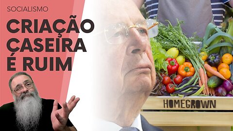 ESTUDO mostra que CRIAÇÃO CASEIRA de ANIMAIS e VEGETAIS é PIOR para o AMBIENTE que GRANDES FAZENDAS
