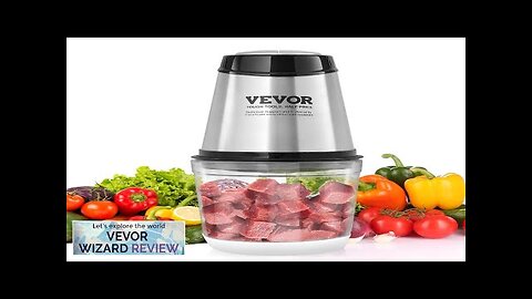 VEVOR Food Processor Electric Meat Grinder with 4-Wing Stainless Steel Blades 2.5 Review