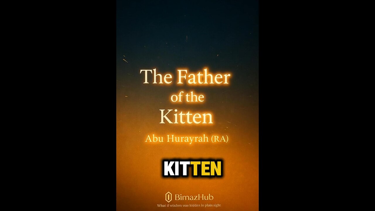 The Father of the Kitten ✦ A Story of Mercy that Touched the Prophet ﷺ