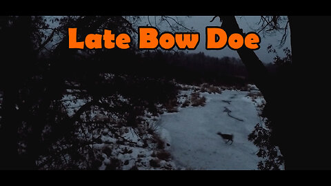 Late Bow Doe