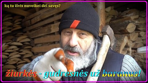 „Durnių laivo“ galas... (nesŪpratoms)