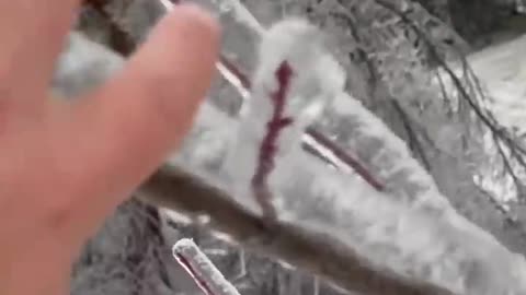 FREZZING RAIN ANYBODY...?