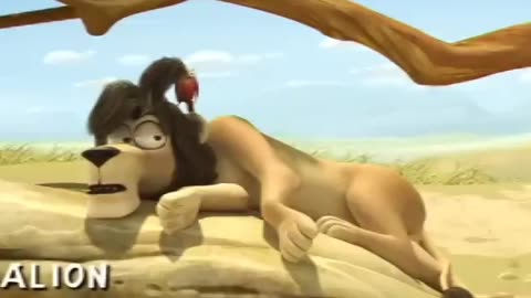 Lion Funny video 🦁🦁🦁🦁🦁🦁😂😂😂😂😂😂😂😂😂😂😂😂😂😂 #viral #trending #explorepage #explore