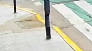 Female tourist takes down phone-snatcher in Argentina