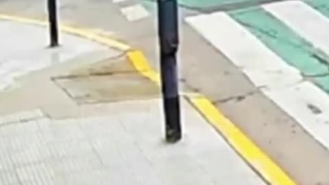 Female tourist takes down phone-snatcher in Argentina