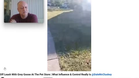 The Anti Dog Trainer - Control and Influence takes a Walk - Pt 3