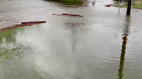 Moderate flooding from Nor’easter storm Pamlico River, NC