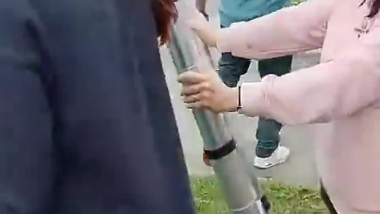 Donabate, Dublin Deranged leftist of the Green Party Suzanne Young is caught