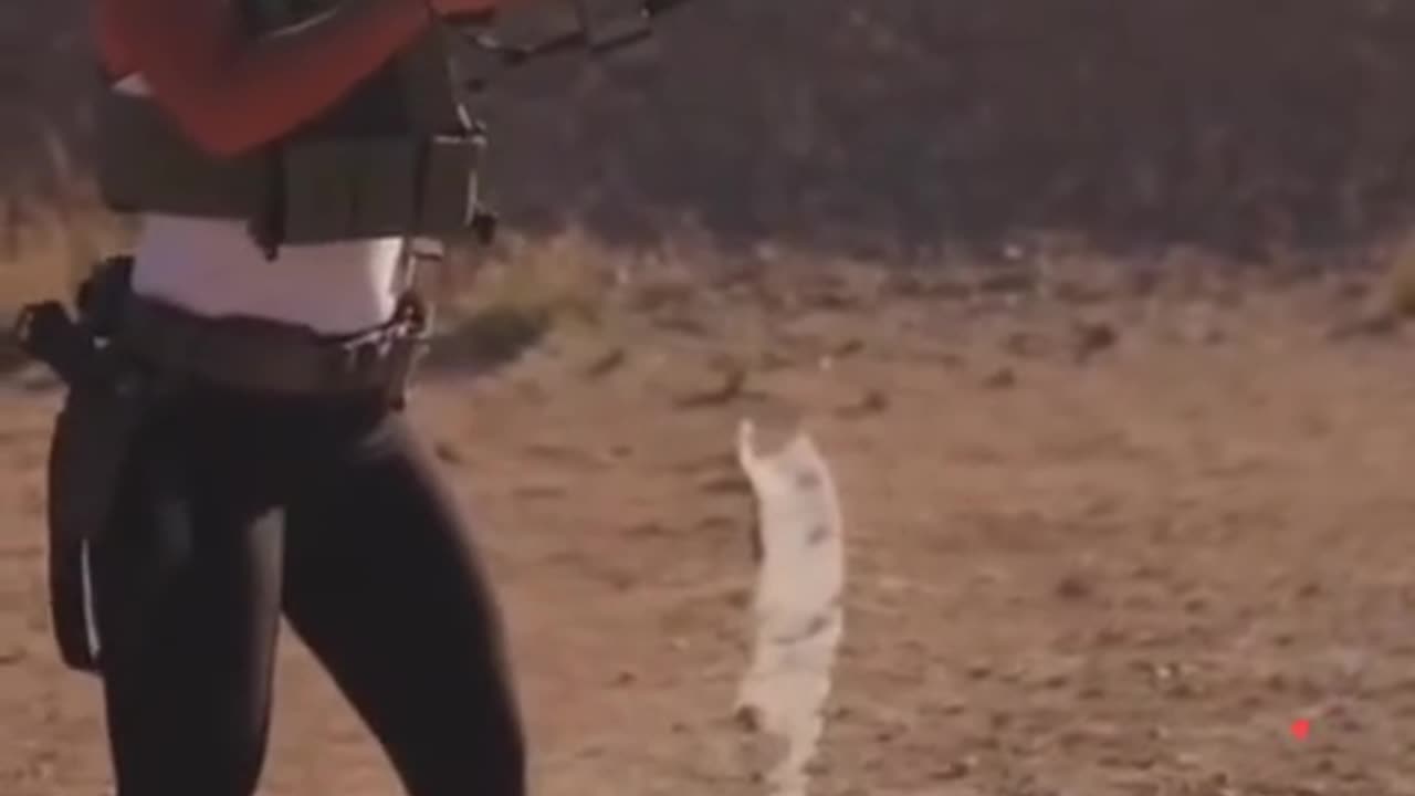 הכירו וקבלו טעימה מטולסי גבארד המינוי החדש של טראמפ לתפקיד מנהלת המודיעין הלאומי