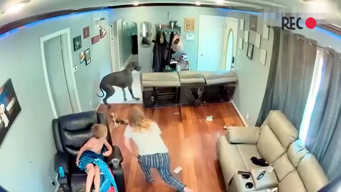 People Instantly Regretted Their Decisions 😂 Ultimate Fails & Try Not To Laugh Challenge