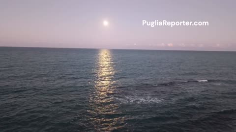 Dalla Puglia osservata la Superluna del Castoro più luminosa degli ultimi sei anni - da Bisceglie
