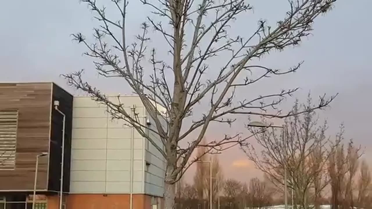 😮👽 Swarm of UFO Orbs Over Birmingham! | TheTruthAbove