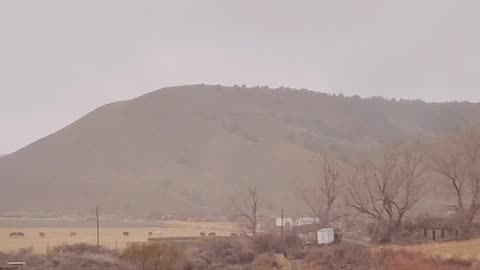 Incoming storm Elk are dropping