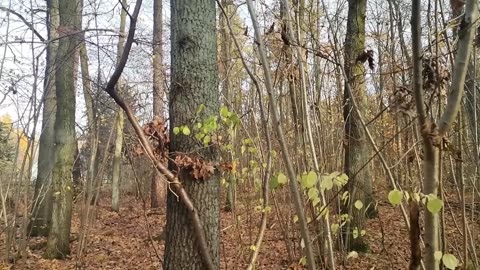 ułatwia życie ... to pewne !