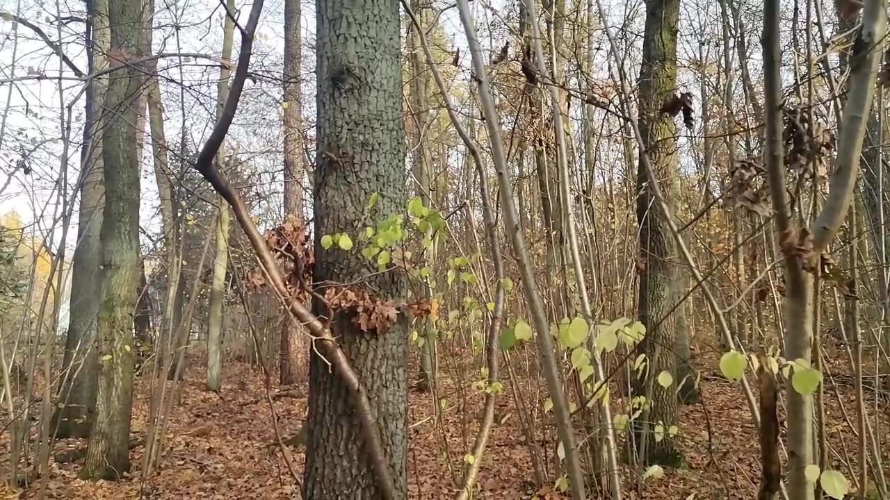 ułatwia życie ... to pewne !