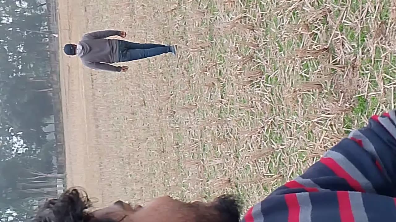 কিরে করে দেখুন 😀