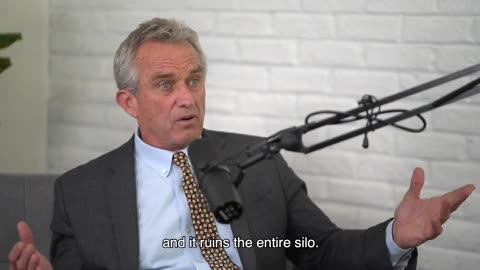 Why did "gluten allergies" go up so much in 2006?