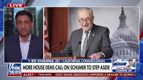 Key Democrat turns on Schumer_ 'He's not in touch with the base'