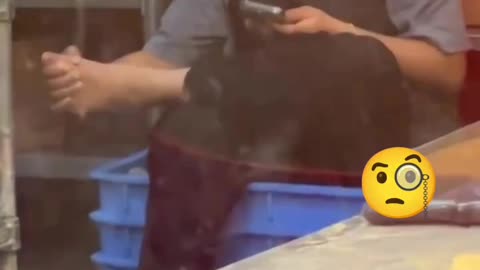 Pizza in Canada 👀