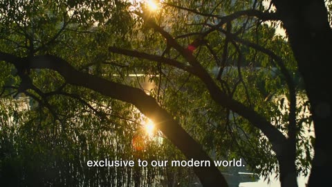 Isaiah 60 : 22 When the Time is Right