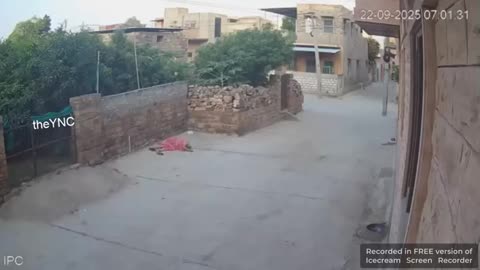 say goodbye bitch
