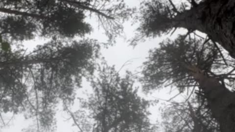 🩺🚑 Ukraine Russia War | Combat Medic Jen Supports Blood Transfusions in Cold | RCF