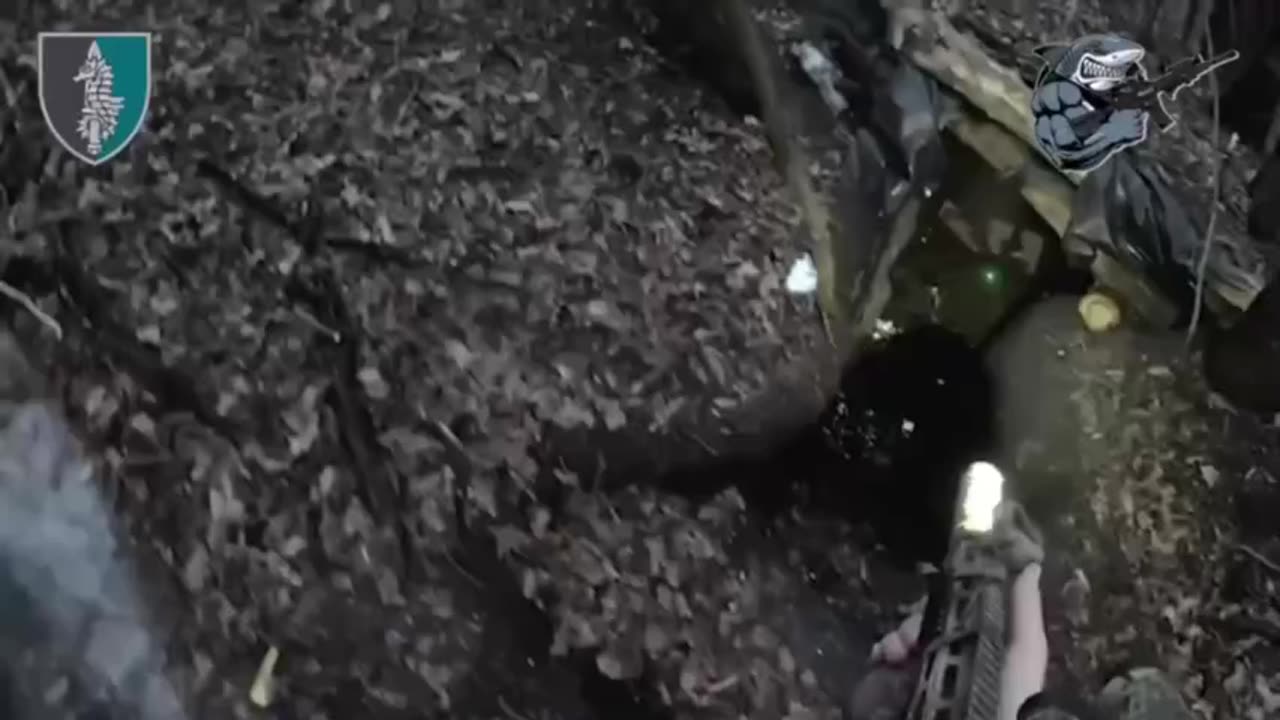 Incredible Footage from Ukrainian Marines in Kursk