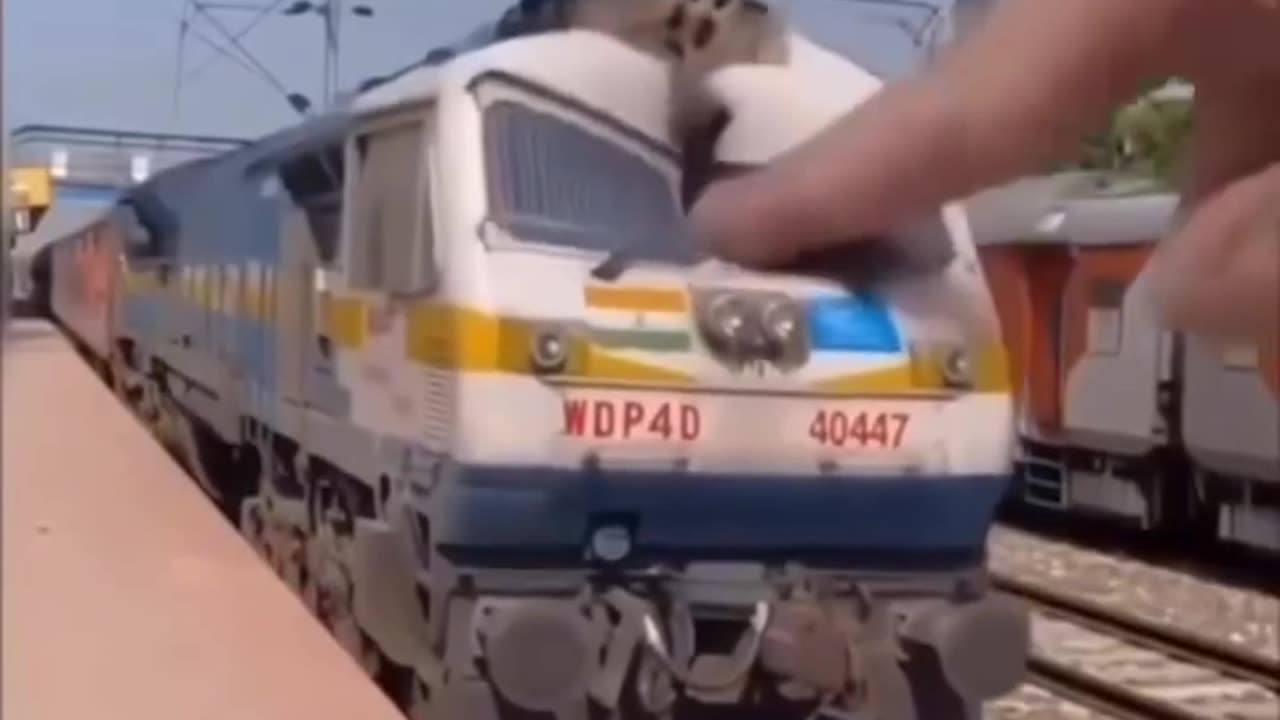 Unexpected Funny Moment😳😂