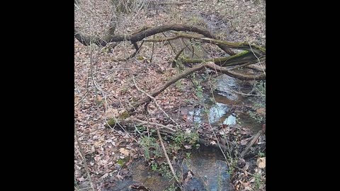 Burbling Creeks After The Rain