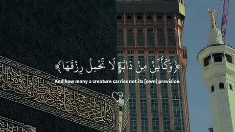 Beautiful Quran Recitation – Can You Stay for the Quran? | #viral #QuranRecitation #BeautifulVoice