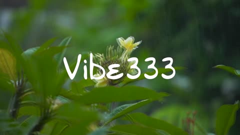 Get Ready to Sleep Like a Baby with This 1 Hour Rainforest Sound
