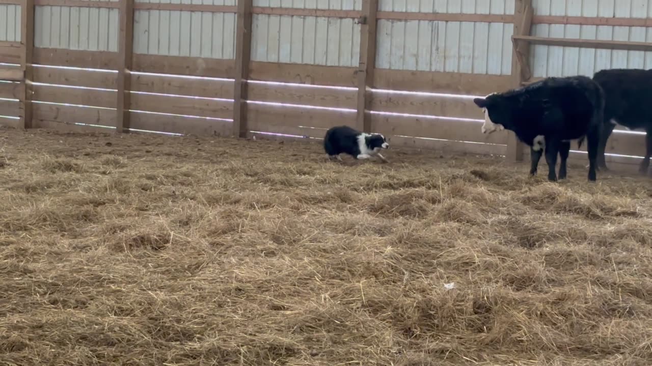 Charlie - Mistakes and All 1/18/2025-1