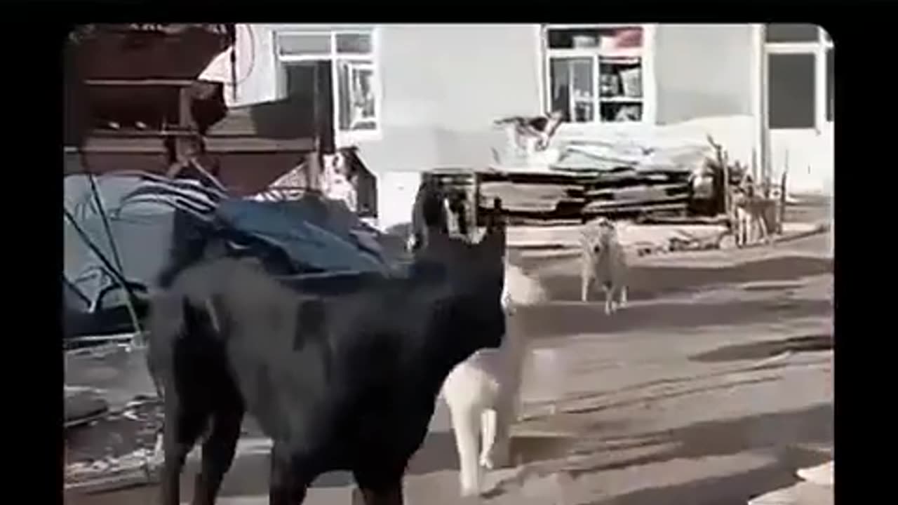 🤔💡 Unbelievable Backstory Of This Person Will Leave You Speechless! | FeedMyCuriosity