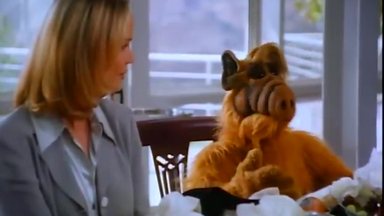 Proyecto ALF