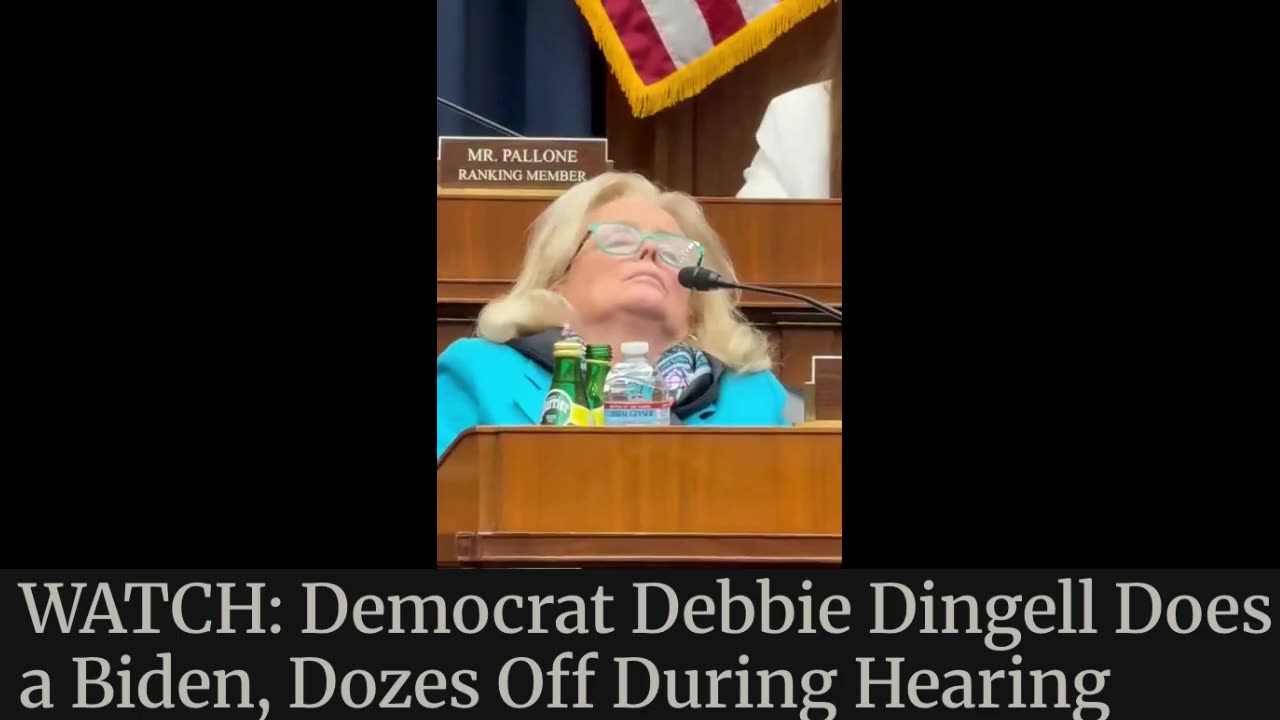 Inside4Walls Bumper- Dingle Dingle Little Star~