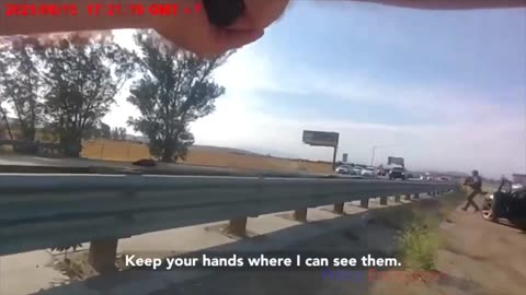 Armed Suspect Fleeing Cops Jumps into Oncoming Traffic... Doesn't End Well
