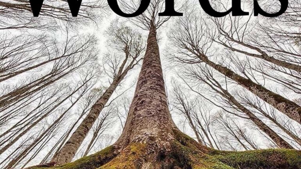 + We Grow In The Direction Of The Words We Choose To Hear The Most
