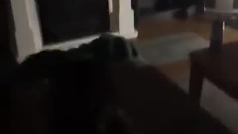 😱👻 This Will Give You Nightmares! Ghostly Encounter | TheHauntingHour