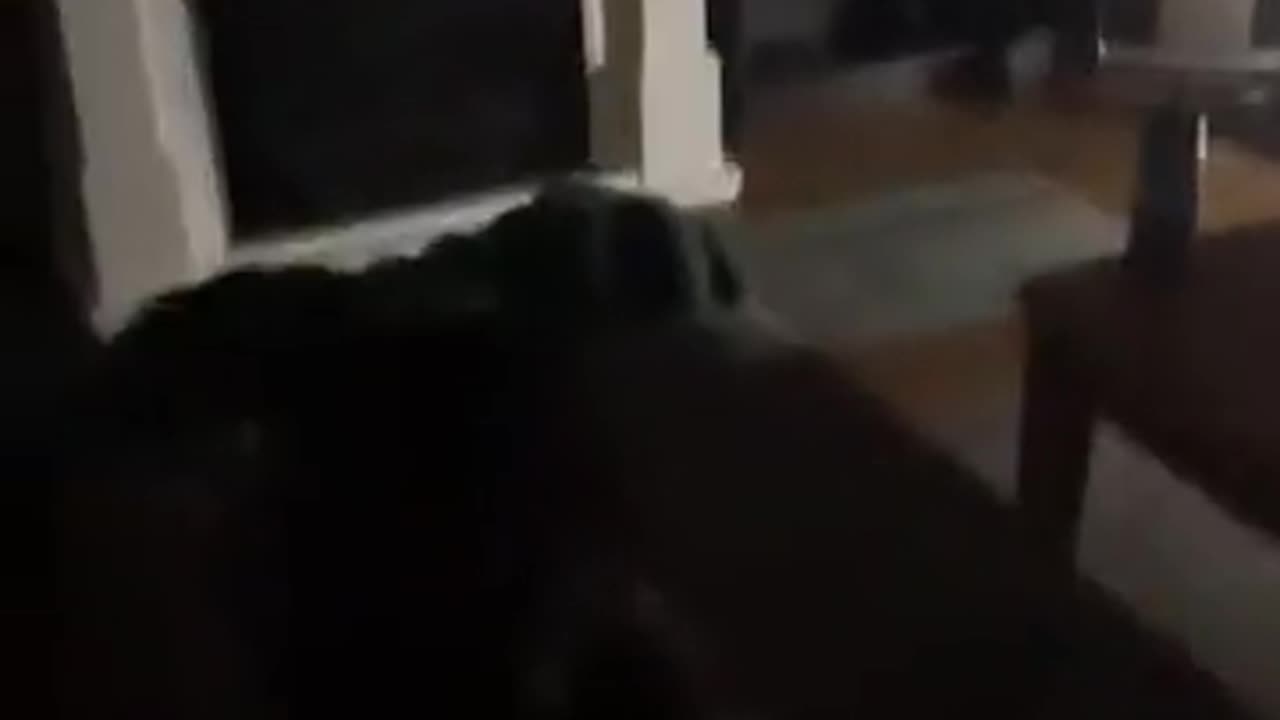 😱👻 This Will Give You Nightmares! Ghostly Encounter | TheHauntingHour