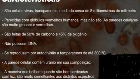 02.09 "Ishida"-drink-the-blood-of-quincy-king-part-5