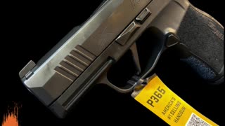 Sig P365 | West Palm Beach, FL