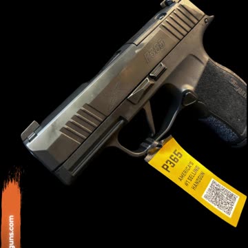 Sig P365 | West Palm Beach, FL