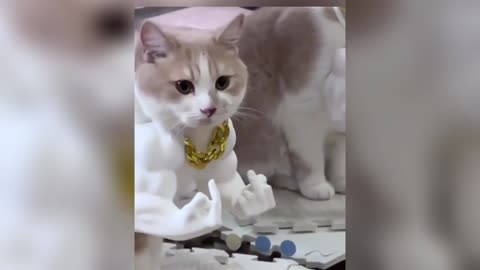 Cats with Tiny Hands: Funny Feline Fails & Hilarious Paw Puns